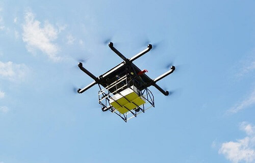 180525 horsefly 5.jpg