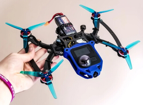 200901 cine_bird.jpg