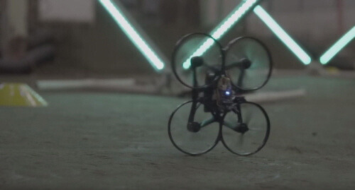 191118 brush_turtle.jpg