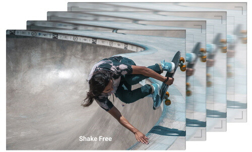 191014 shake_free.jpg