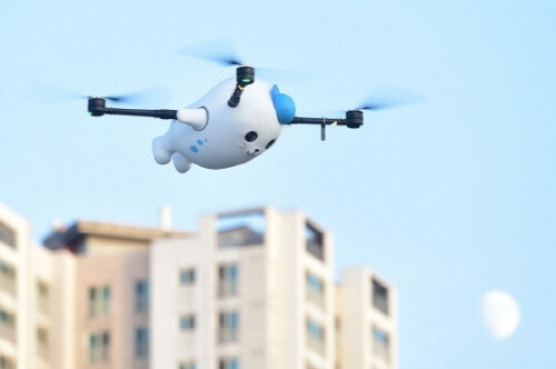 1903 Ana PLAY01 7.jpg