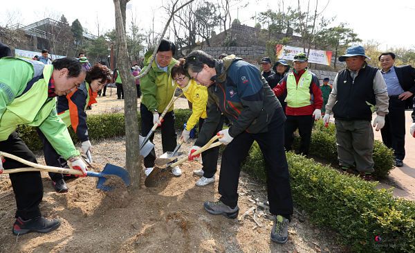 2.KOCIS_Korea_Jongno_Tree_03_(8633200891)_opt (1).jpg