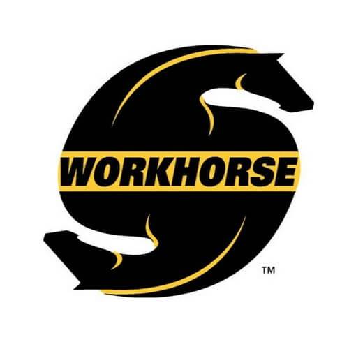 180525 horsefly 1.jpg