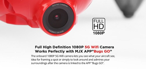 180104 - bugs 2 cam.jpg