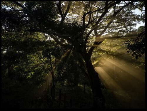 200128 evo2pro_qual.jpg