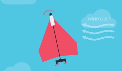 191007 stabilized.jpg