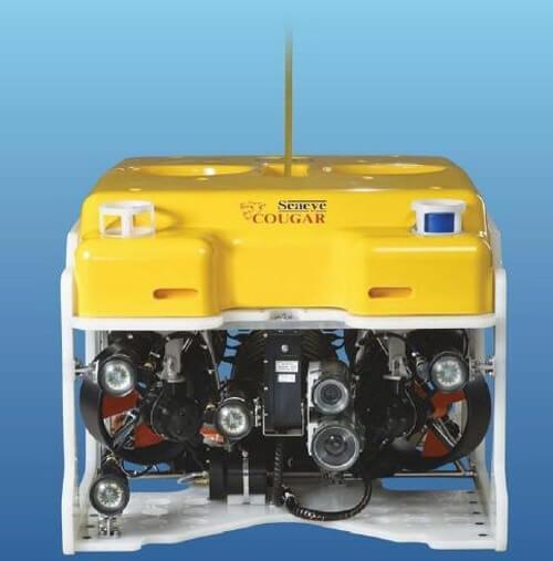 ana08 p1 eng cougar-xt.jpg