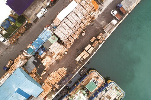 1807 ana paly2 10.jpg