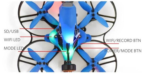 190730 tarsier_wifi.jpg