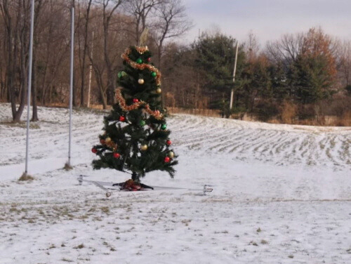 181212 flyingtree.jpg