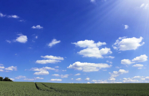 200721 sunny_sky.jpg