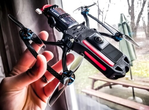 200901 cine_bird_insta.jpg