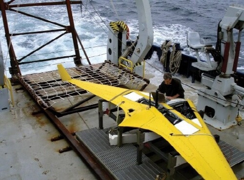 ana08 re liberade xray.jpg