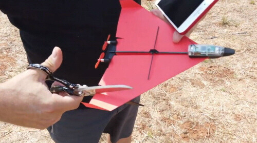 191007 cutting_wing.jpg