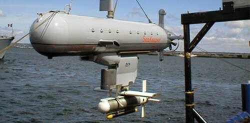 ana08 p1 can dorado.jpg