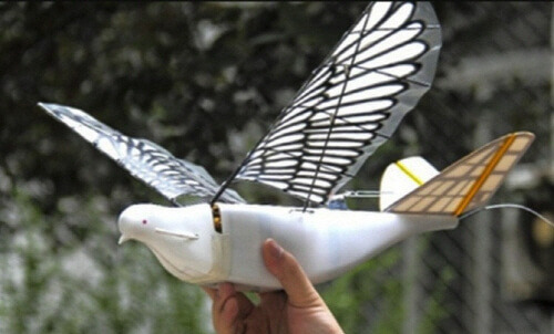 1905 ANA int 2 3.jpg