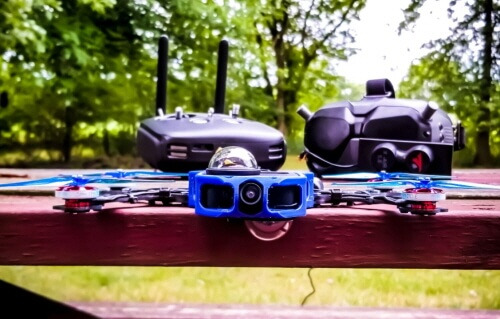 200901 cine_bird_slim.jpg