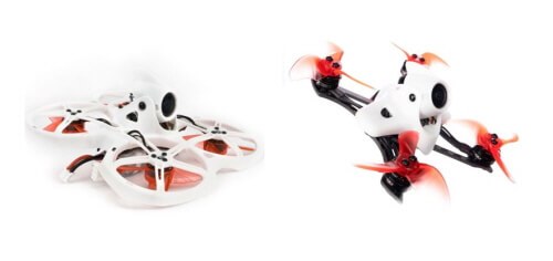 200414 tinyhawks.jpg