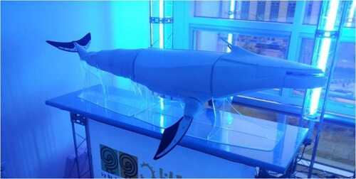 1807 ana play1 7.jpg