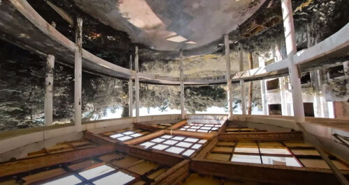 200609 back_flight.jpg