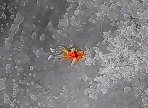 190502 emergency_ther.jpg