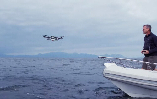 200504 gannet_fishing.jpg