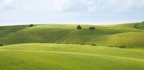 191001 landscape.jpg