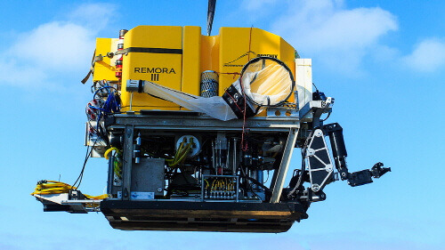 ana08 p1 aus remora.jpg