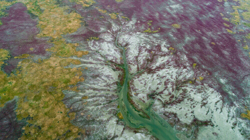 ANA 1903 play2 7.jpg