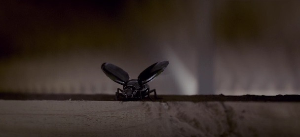 10 bug type drone img 600x278.jpg