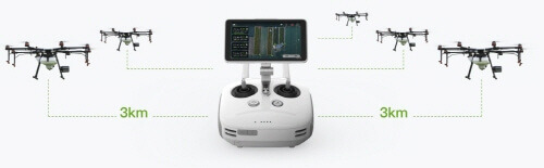 1906 Ana int 1 4.jpg