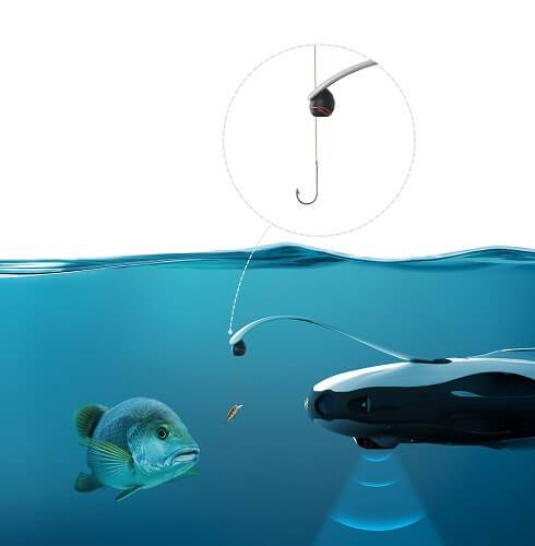 180608 underwater 10.jpg