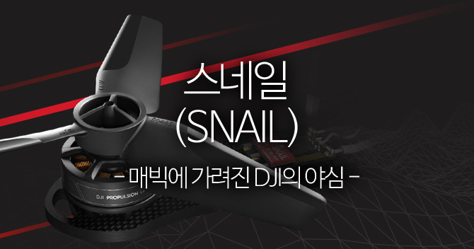 snail.jpg