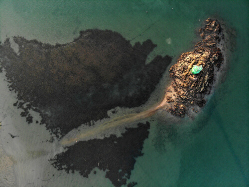 ANA 1903 play2 2.jpg