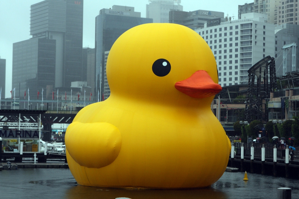 Rubber_Duck_(8374802487).jpg