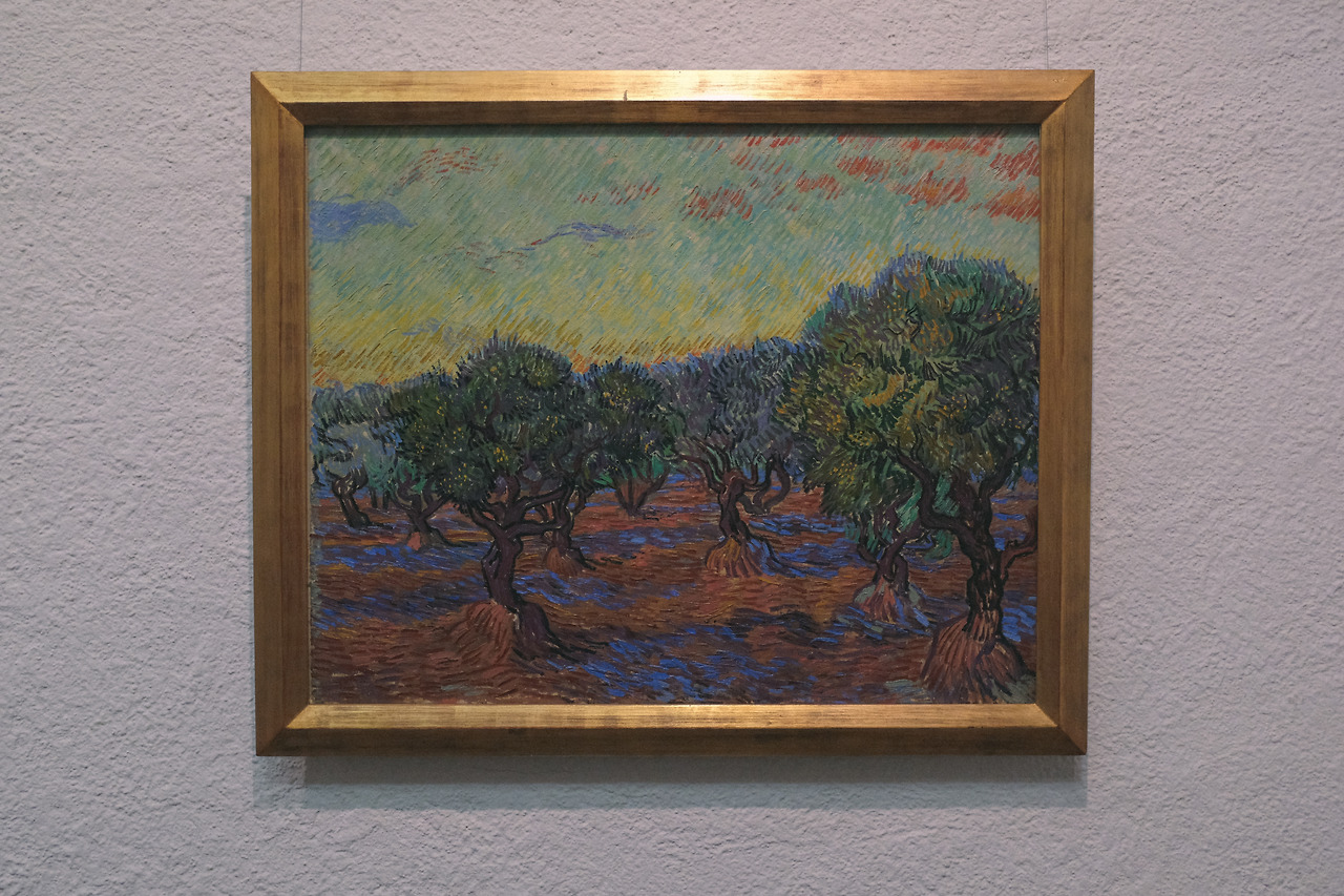 Olive Grove, Gogh.jpg