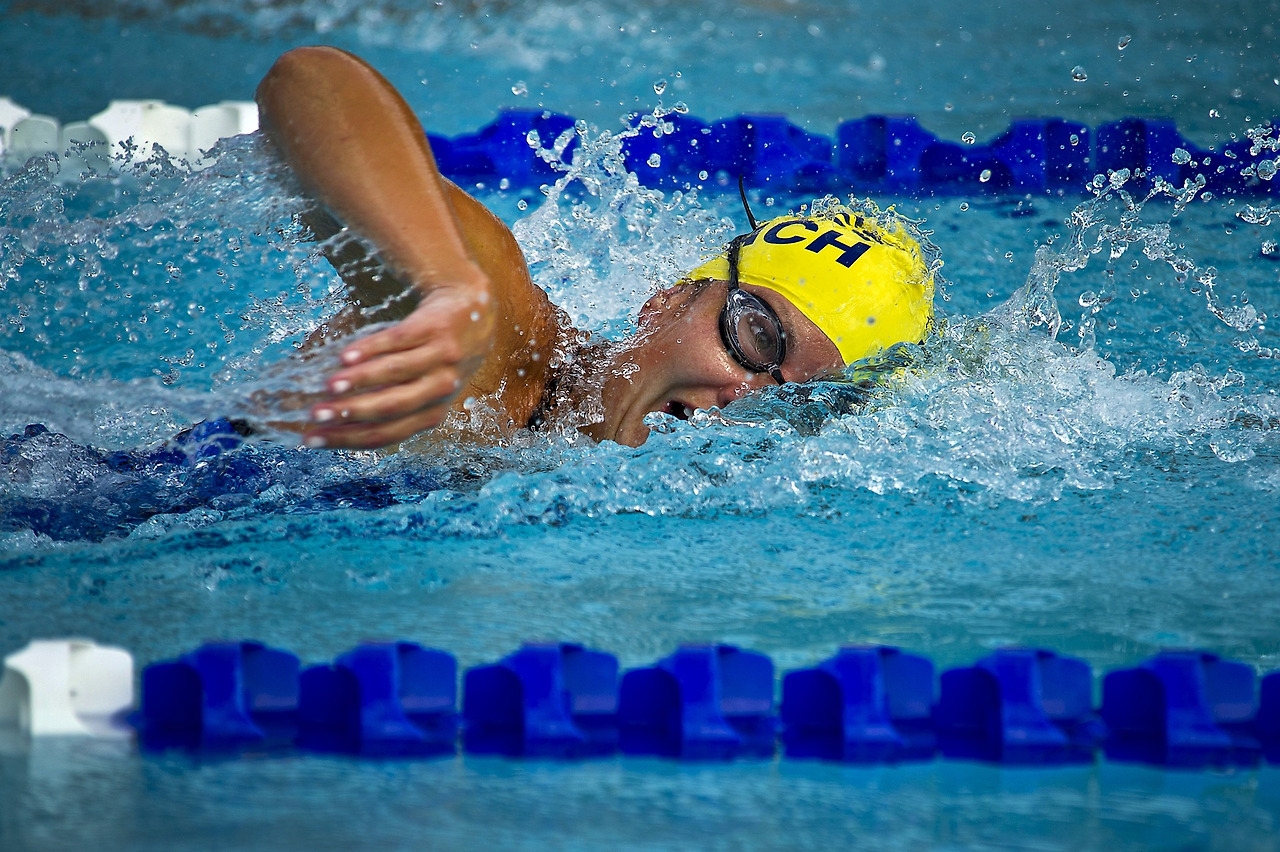 swimming-gd6576a000_1920.jpg