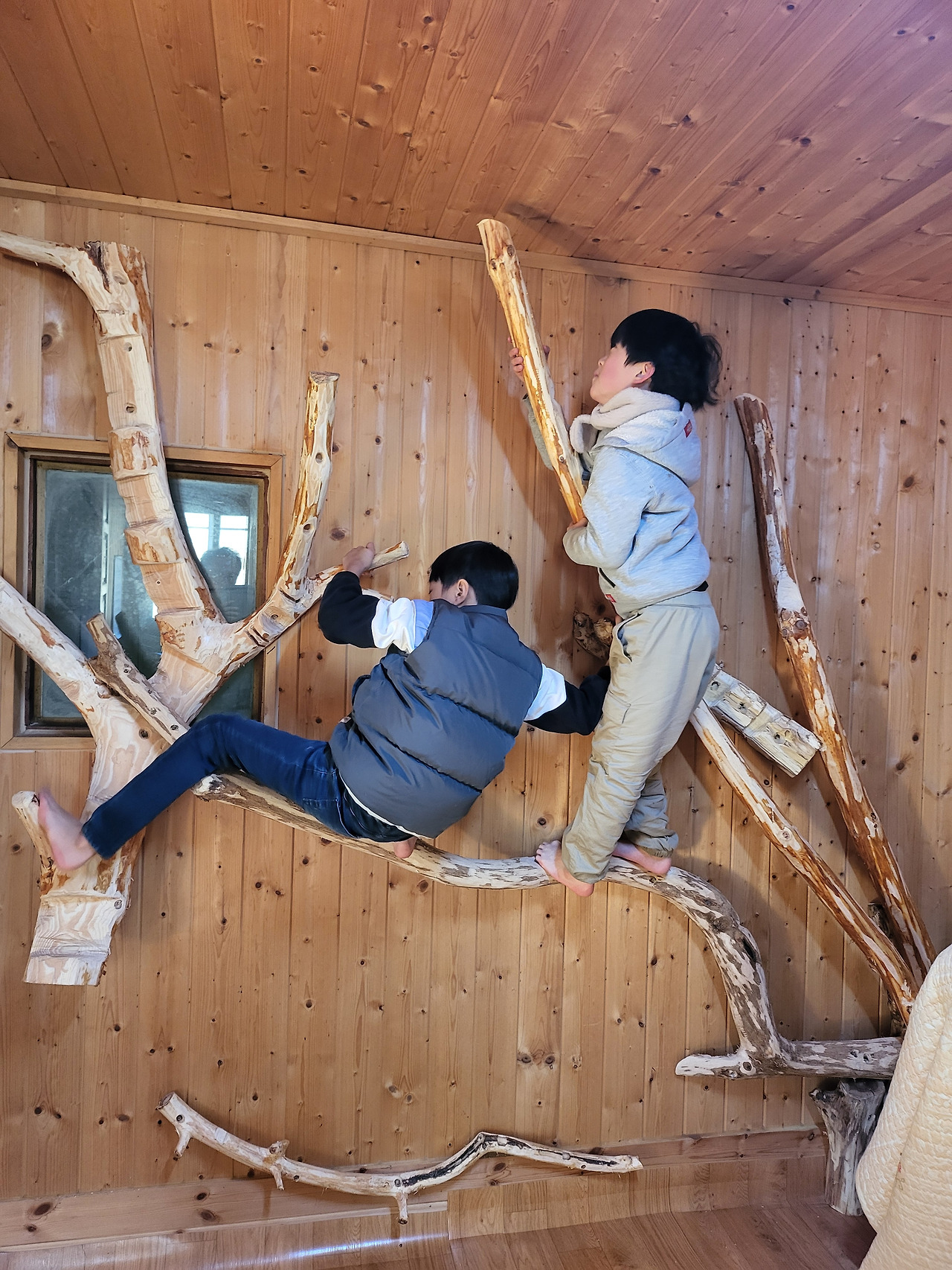 맨발 나무 볼더링.jpg