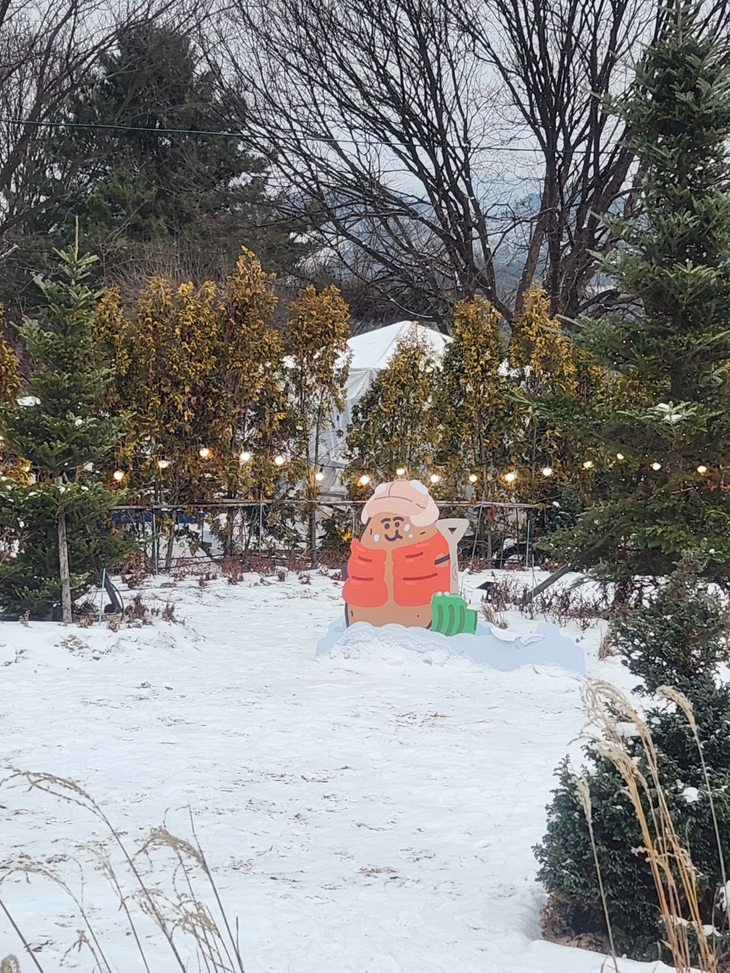 KakaoTalk_20250201_144518183_11 - 복사본 - 복사본.jpg