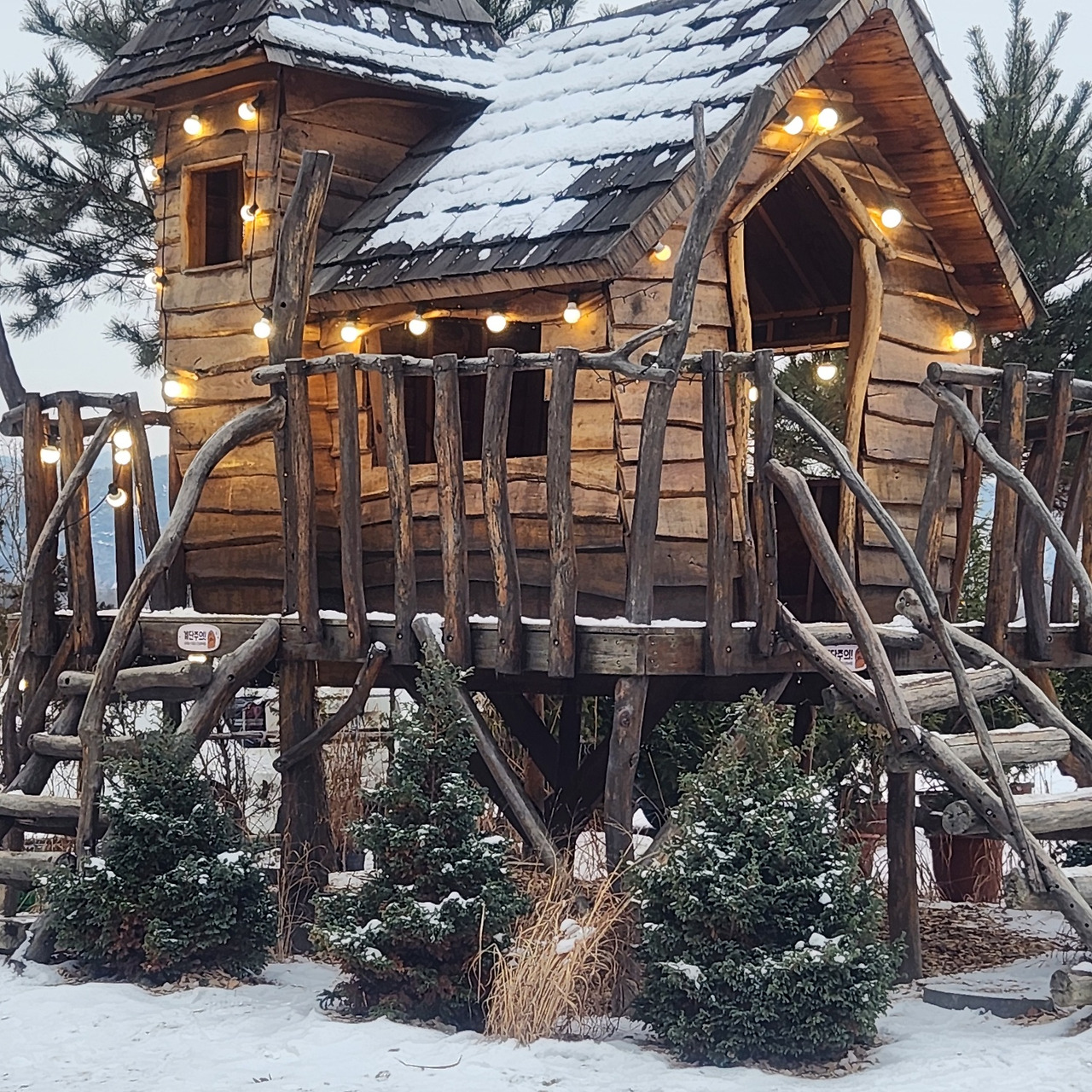 KakaoTalk_20250201_144518183 - 복사본 - 복사본 - 복사본.jpg