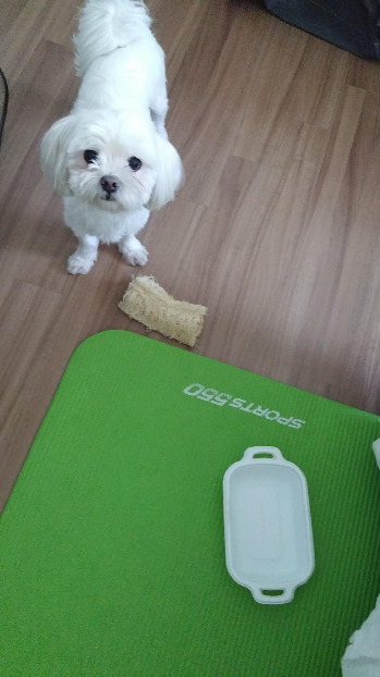 20181012_135958 수리프로필 사.jpg