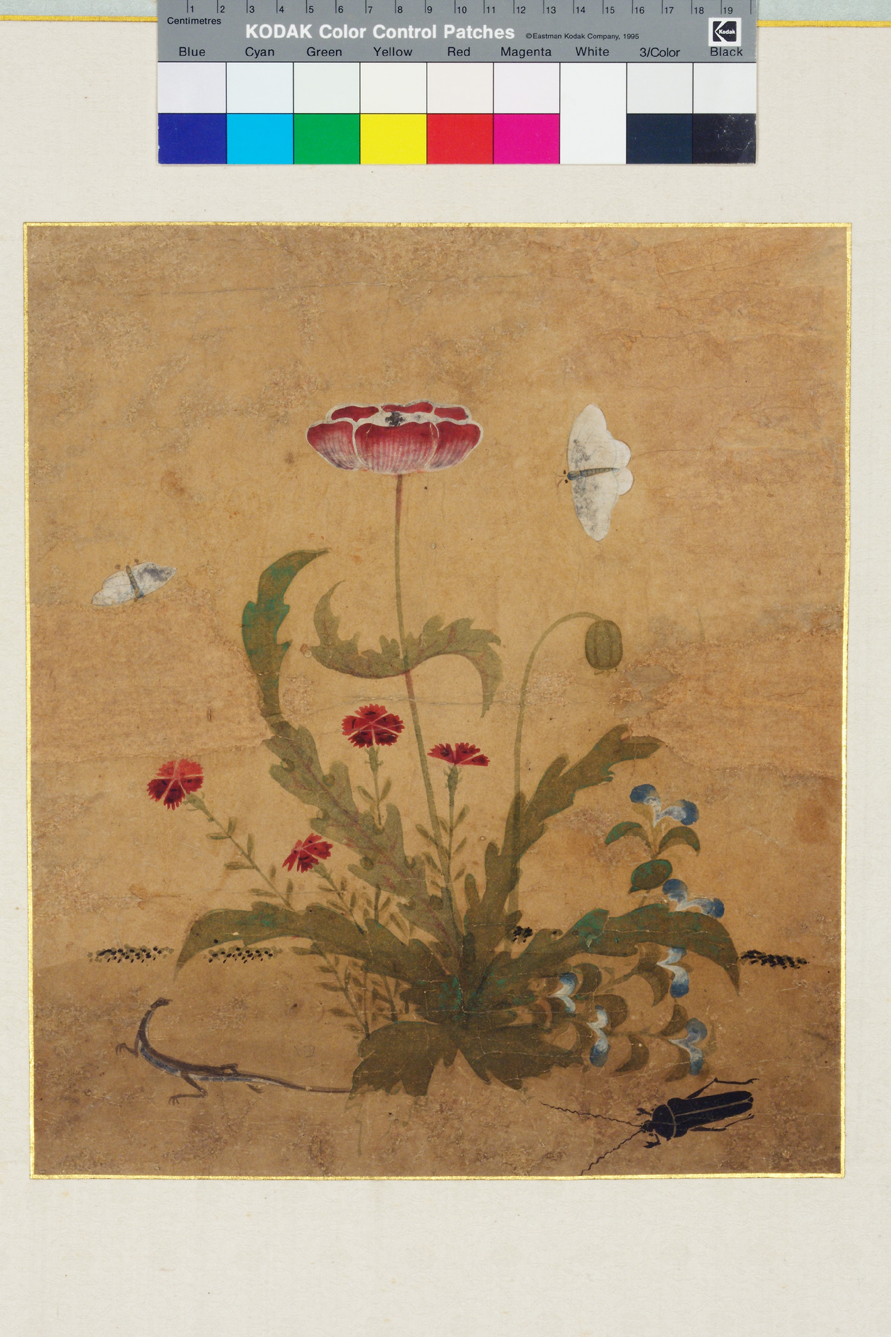 신사임당 패랭이꽃 초충도.jpg