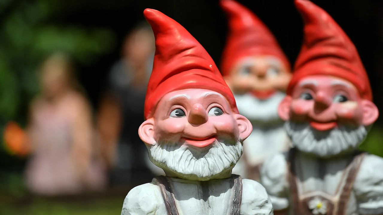 gartendeko-laut-der-internationalen-vereinigung-zum-schutz-der-gartenzwerge-tragen-echte-gartenzwerge-eine-zipfelmuetze.jpg