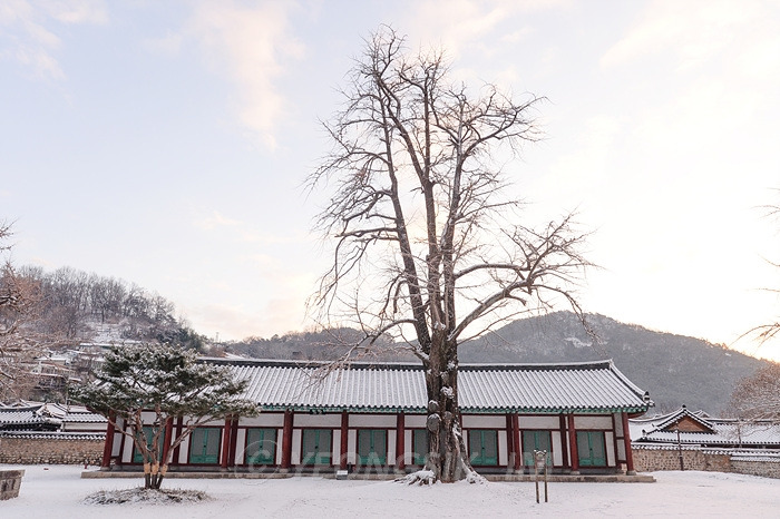 Jeonju Hyanggyo_6932.jpg