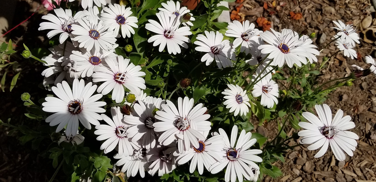 20220318_131859 (2).jpg