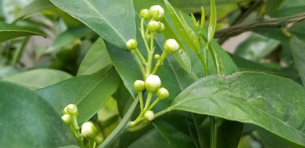 20220318_131743 (2).jpg