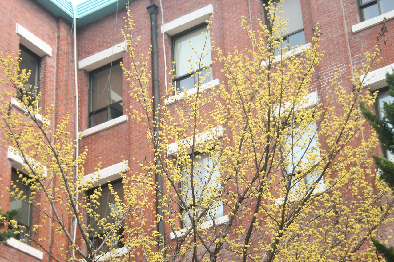 0002017 - 복사본.jpg