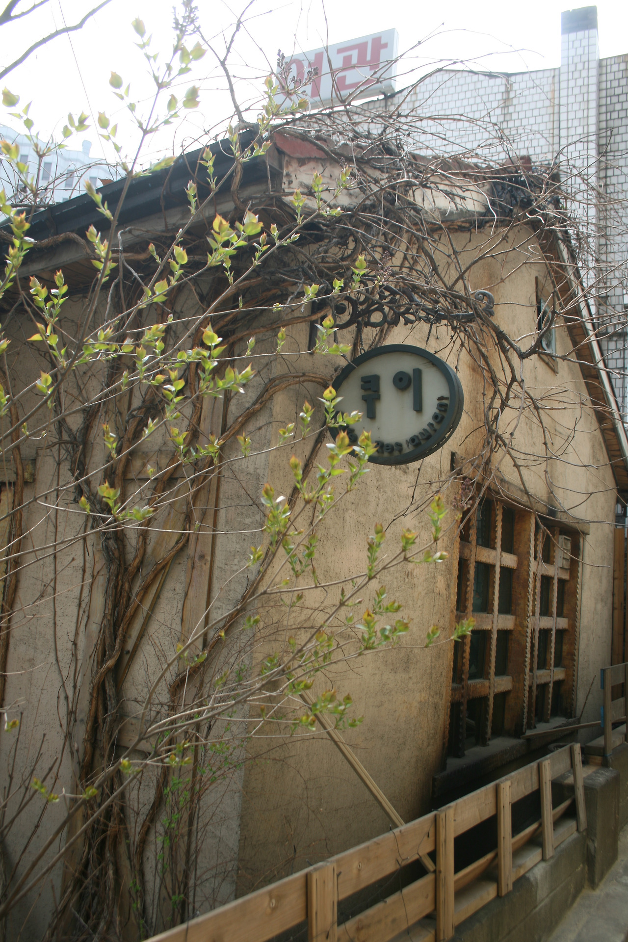 0002028 - 복사본.jpg