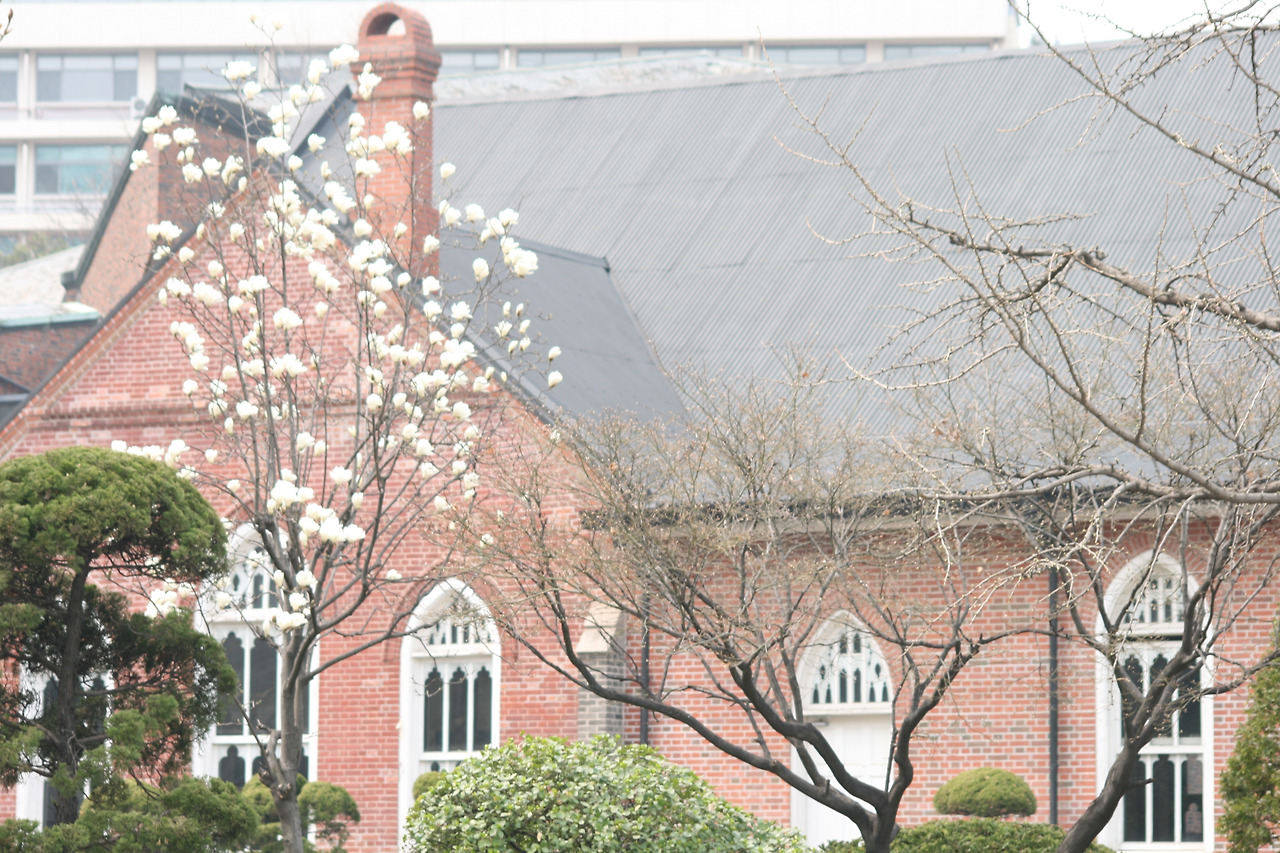 0002006 - 복사본.jpg