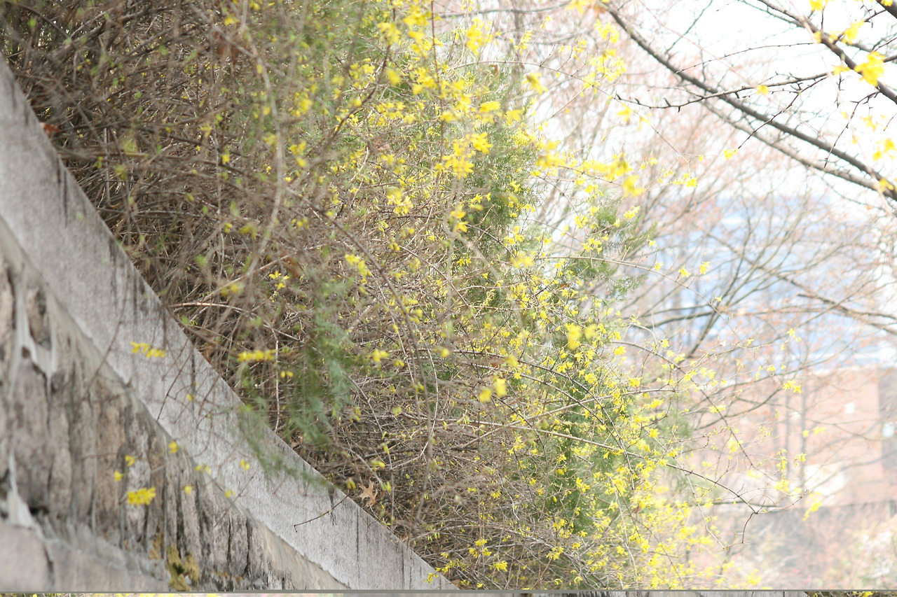 0001999 - 복사본.jpg